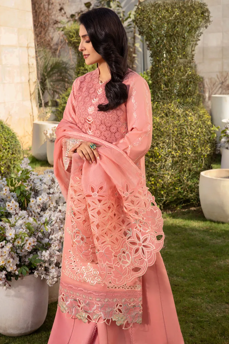 Rang Rasiya Luxury Festive Lawn Collection – Parisa